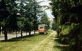 Strassenbahn 1984