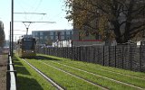 Tw 2213 ist zur Eröffnungsfahrt nahe der Haltestelle Landschaftspark Johannisthal unterwegs (30.10.2021).