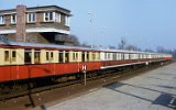 PL17354