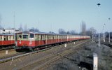 PL17355