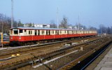 PL17363