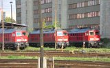 050820Lichtenberg 033