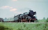 750617Berlin Wuhlheide 001