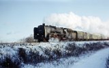 751228Berlin Wuhlheide 101