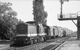 sw01524 - Kopie