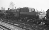 760612ZittauBw 101m