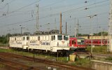 Lichtenberg 2005