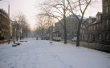 Lindenring am 27. Februar 1981