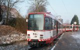 Schiltsche 1993