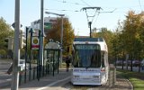 Radeklint 2005