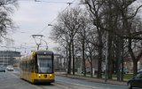 Sachsenallee 2008