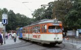 Zoo 1990