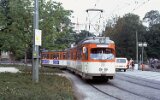 Zoo 1990