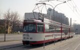 Moosweiher 1992