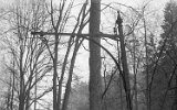 Kirnitzschtalbahn 1975