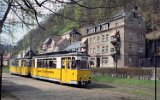 Bad Schandau Stadtpark (heute Kurpark) 1996