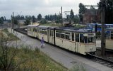 Marienehe 1992