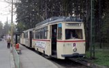 Neuer Friedhof 1989