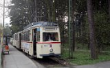 Neuer Friedhof 1989