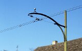 Rudolf_Breitscheid-Straße 1991
