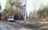 Köpenicker Forst an der Waldweiche 1991