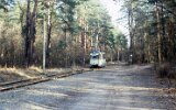 Köpenicker Forst an der Waldweiche 1991