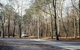 Köpenicker Forst Rahnsdorf 1991