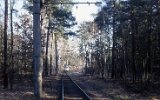 Köpenicker Forst an der Waldweiche 1991