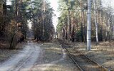 Köpenicker Forst an der Waldweiche 1991