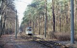 Waldweiche 1991