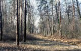 Köpenicker Forst Rahnsdorf 1991