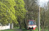 060424Gorzow 002