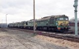 Gniezno 1993