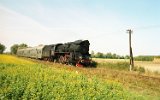 Granowo-Strykowo 2003