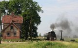 Tłoki 2005