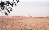 Koronowo - Kasprowo 1992