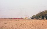 Koronowo - Kasprowo 1992