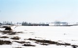 Laski Mae 1996