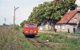 Paprotno 2003