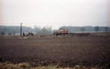 Gryfice 1994