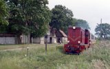 Paprotno 1996