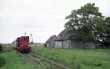 Rogozina 1996