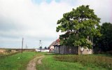 Rogozina 1999