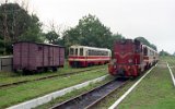 Trzebiatw Wskotorowy 1999