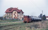 Manowo 2001