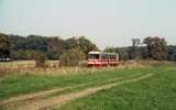 Reska Kolej Wskotorowa - Regenwalder Kleinbahn