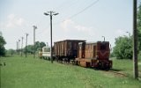 Rogw 2000
