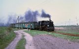 roda Wielkopolska 1991