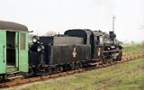 Zaniemyl 1991