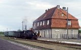 Zaniemyl 1991
